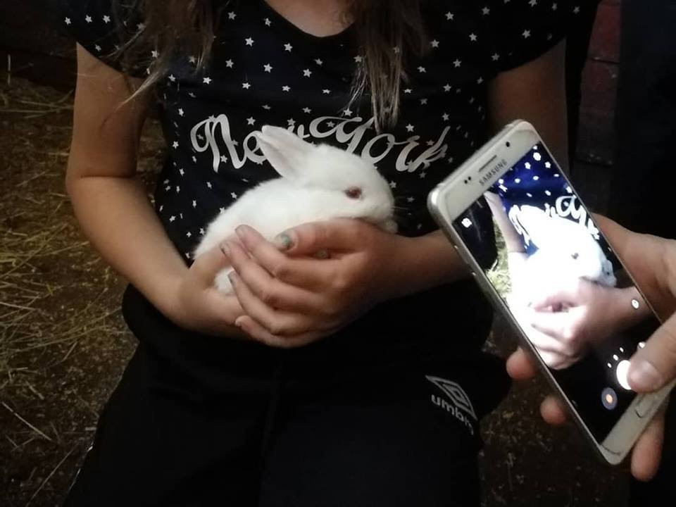 Farm Escape Tornio-托尔尼奥必去景点