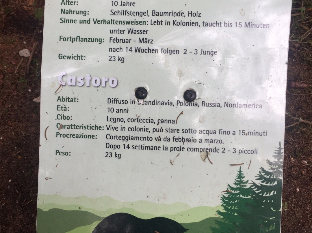 Kron Arc Adventure-瓦尔道拉必去景点