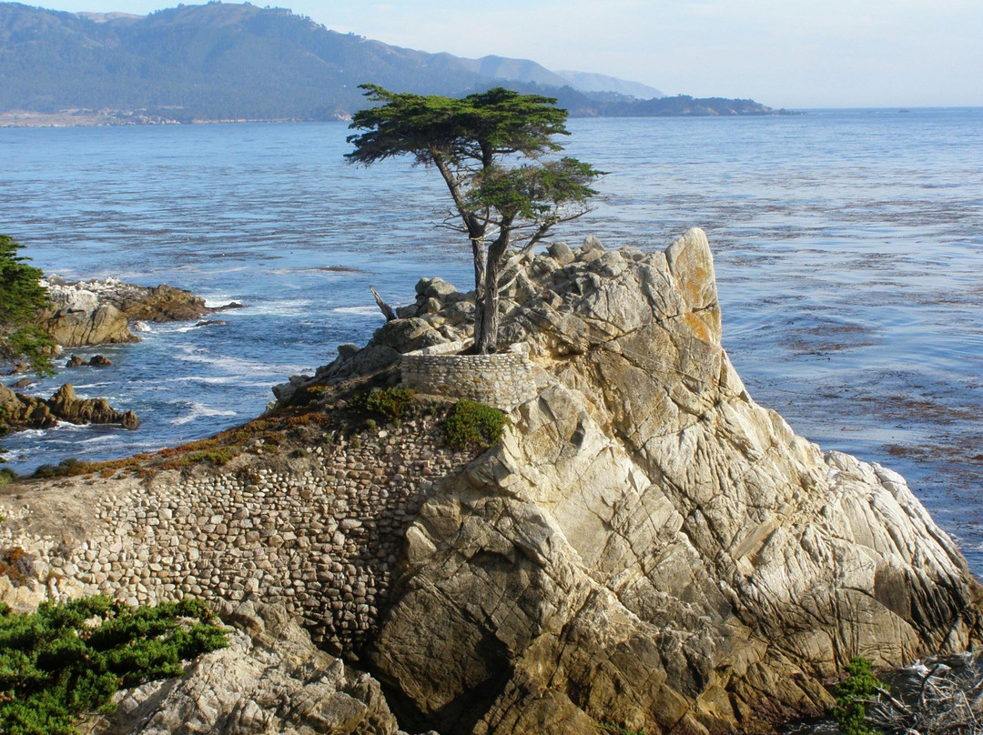 Bay Magic Meetings & Tours-旧金山必去景点