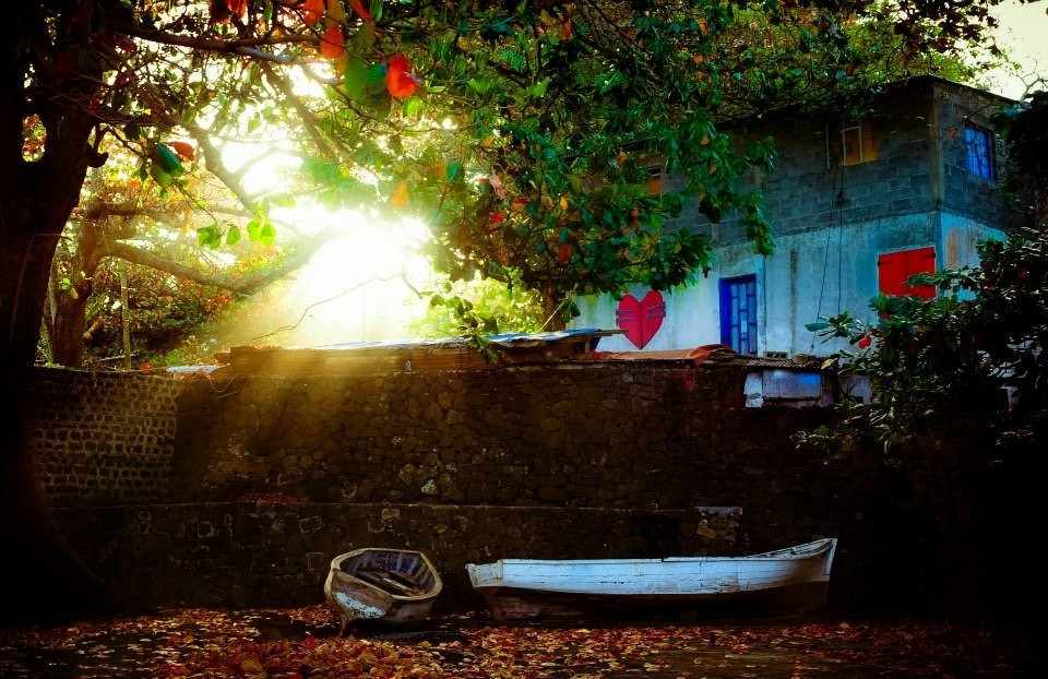 Clique Photography-Palmar必去景点