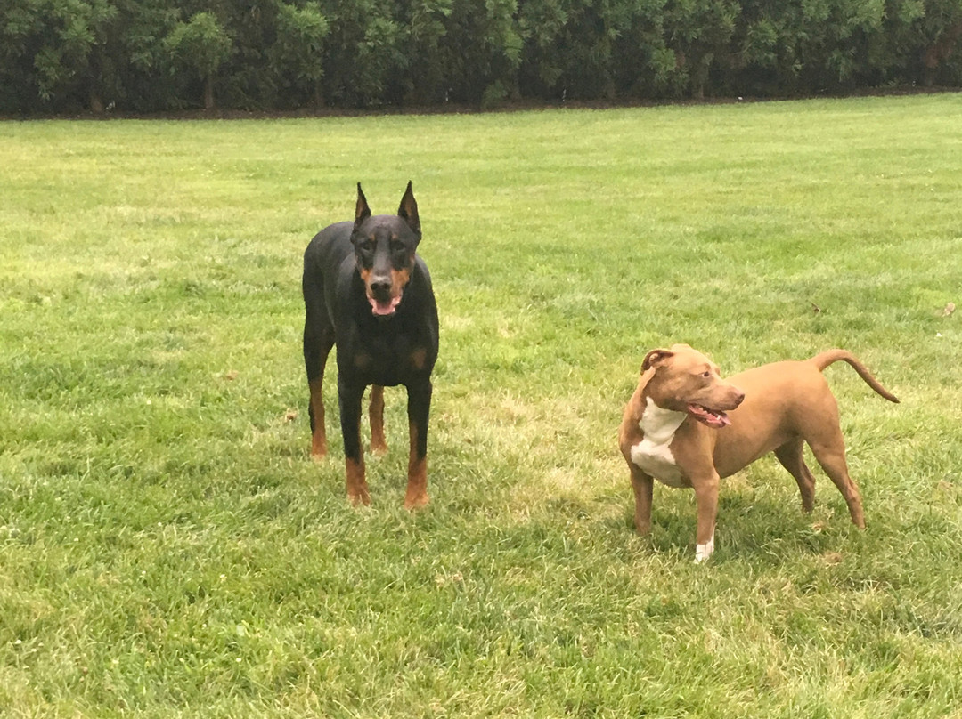 国王和王后套房酒店主图