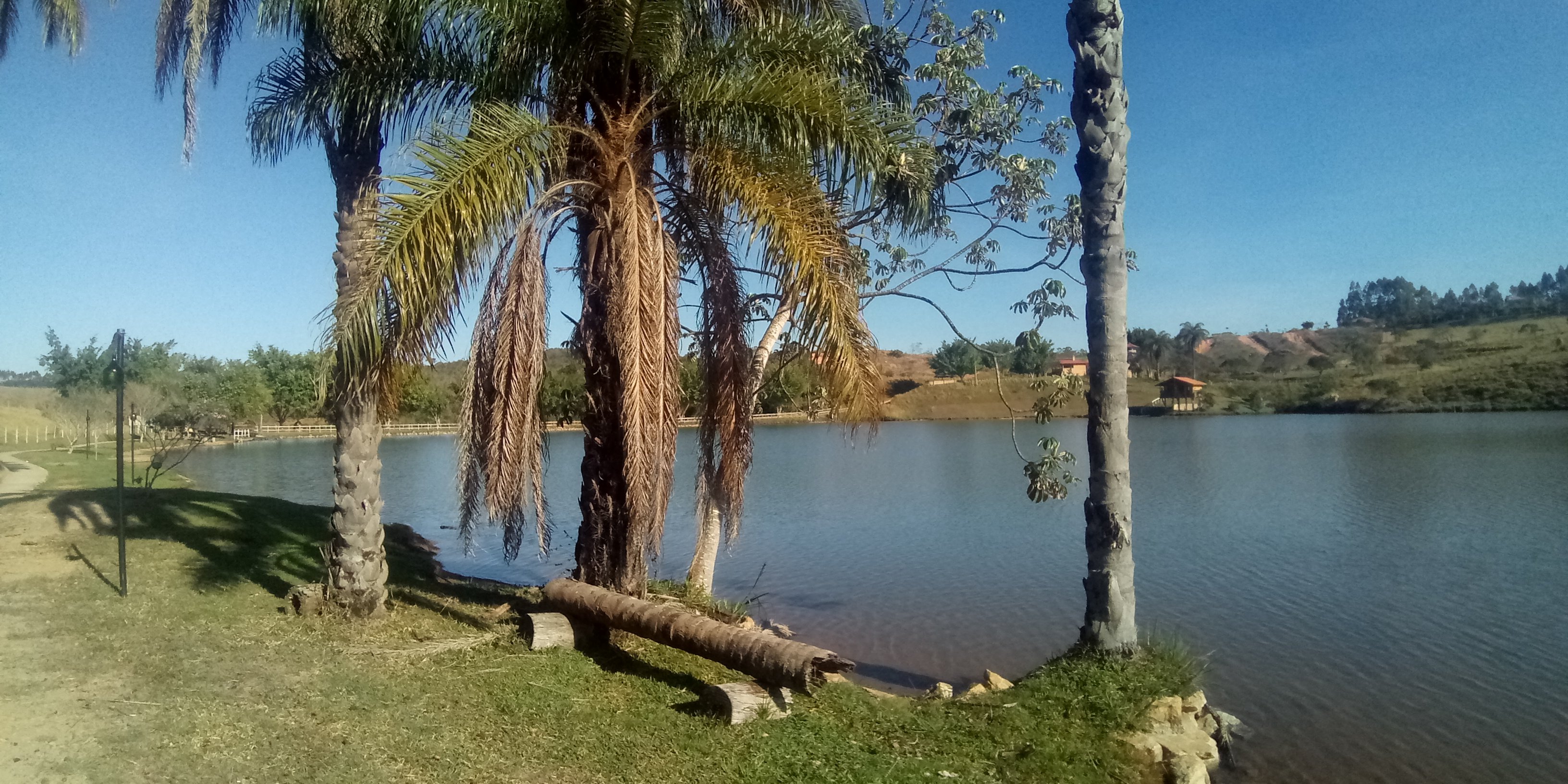 Hotel Fazenda da Lagoa-酒店景观
