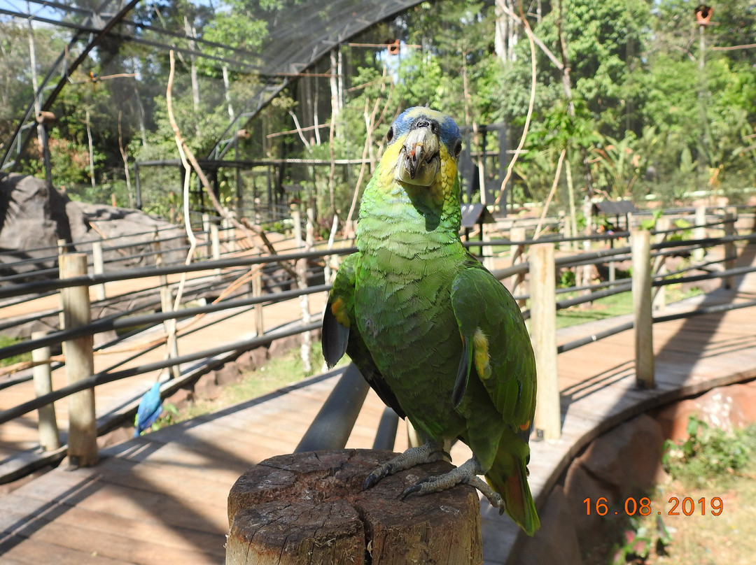 BioParque Vale Amazônia-Parauapebas必去景点