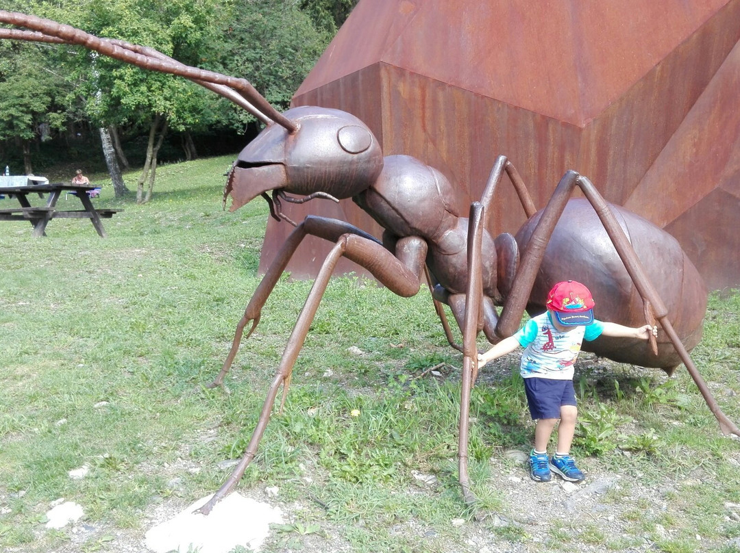 Riserva Naturale Boschi del Giovetto di Palline-Borno必去景点