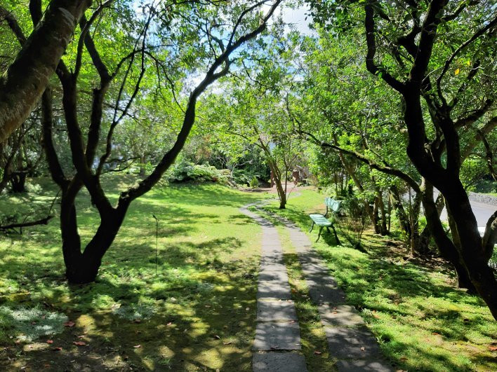 Faial Botanic Garden景点图片