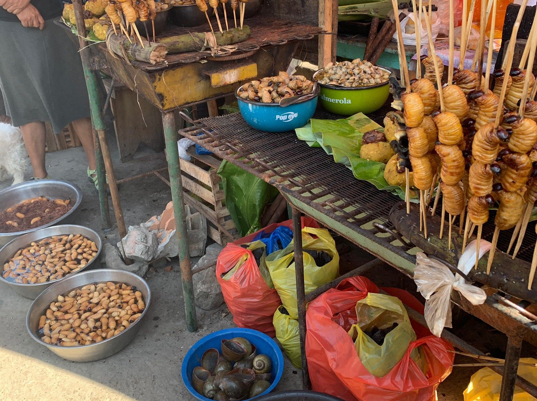 Dawn on the Amazon Tours and Cruises-伊基托斯必去景点
