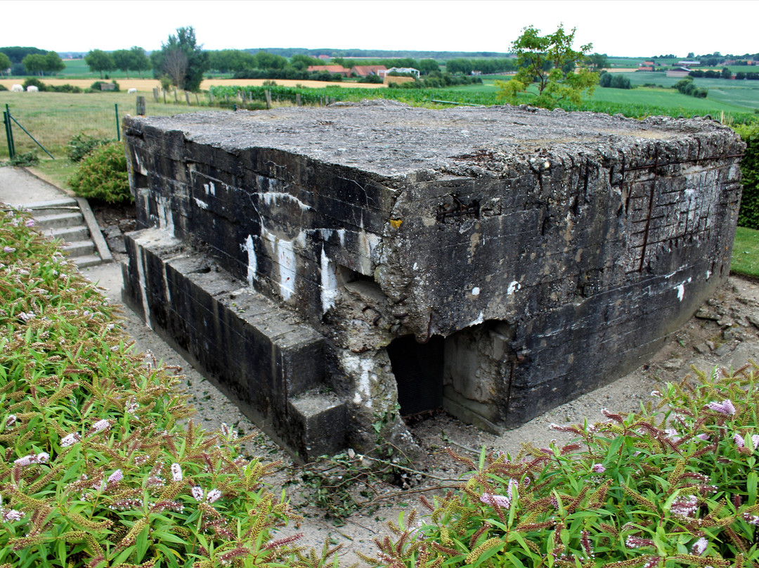 NZ Messines Ridge Memorial景点图片