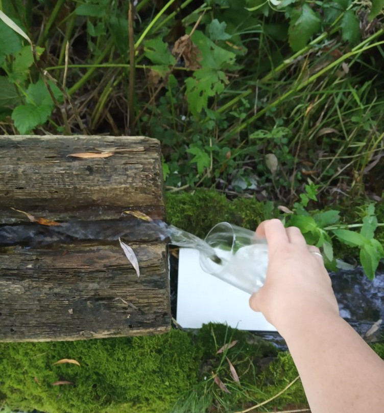 Chalet Le Dorf主图