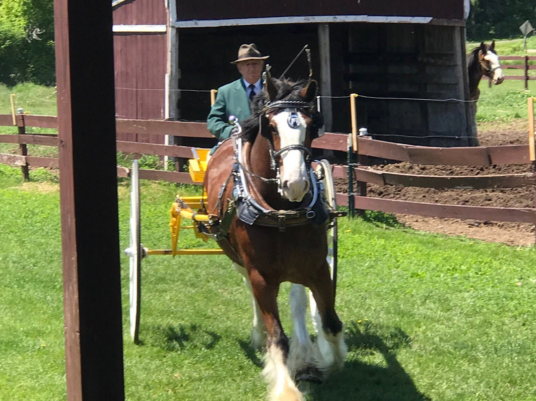 Larson's Famous Clydesdales-Ripon必去景点