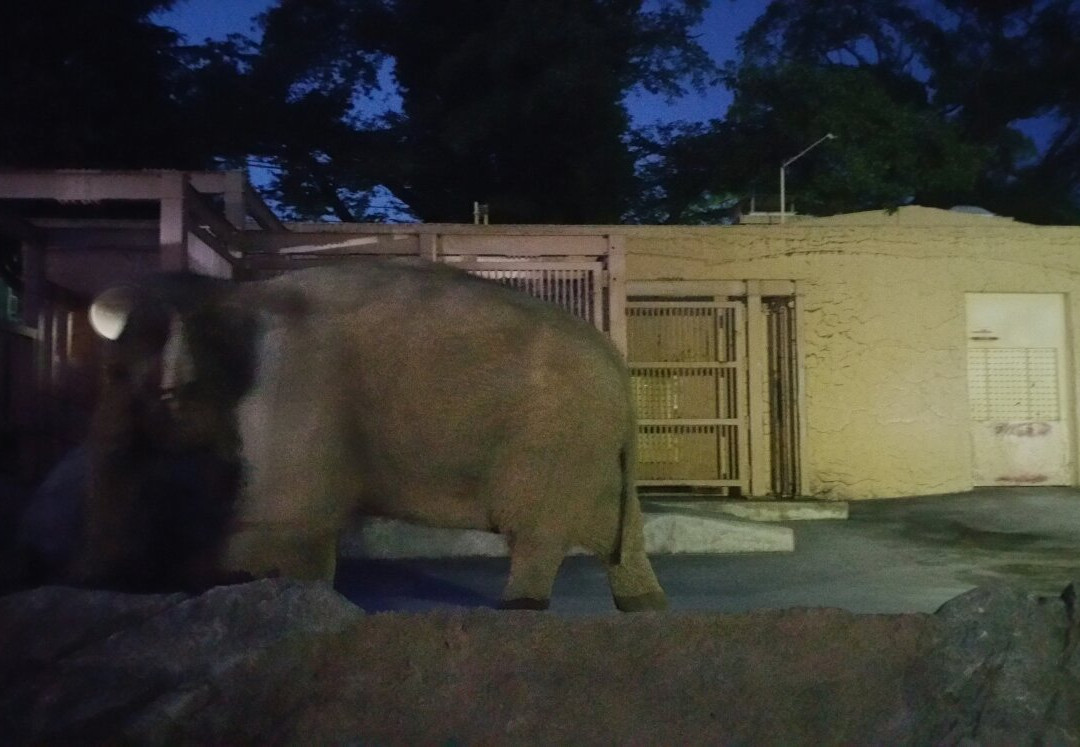 Hitachi City Kamine Zoo-日立市必去景点