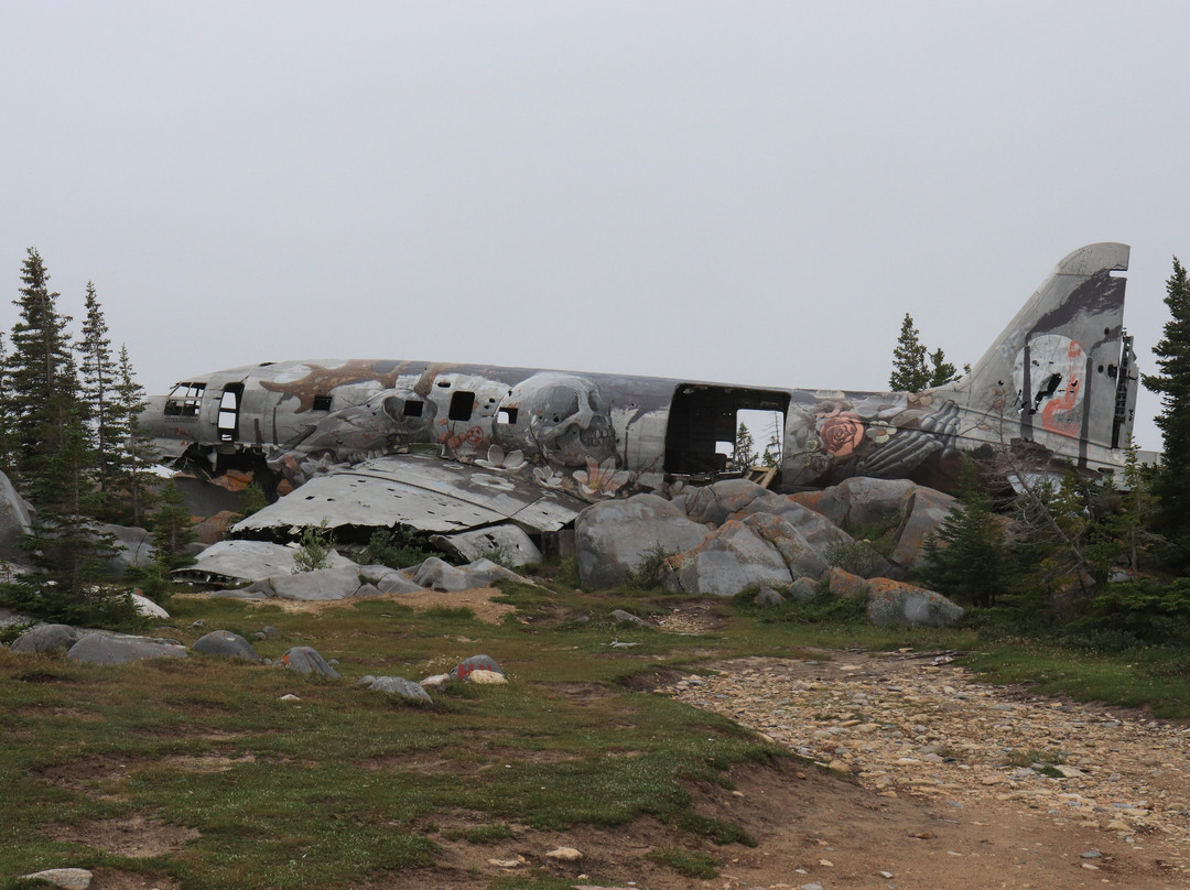 Miss Piggy Plane Wreck-丘吉尔必去景点