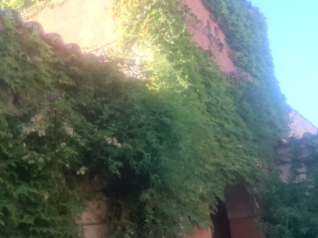 Finca Villa Juan主图