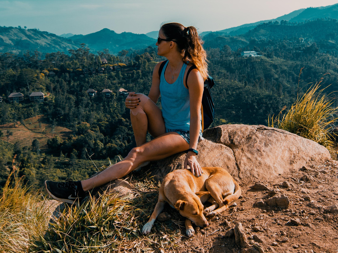 Isle of Trails-科伦坡必去景点