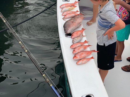 Eagle Express Charters-橙色海湾必去景点