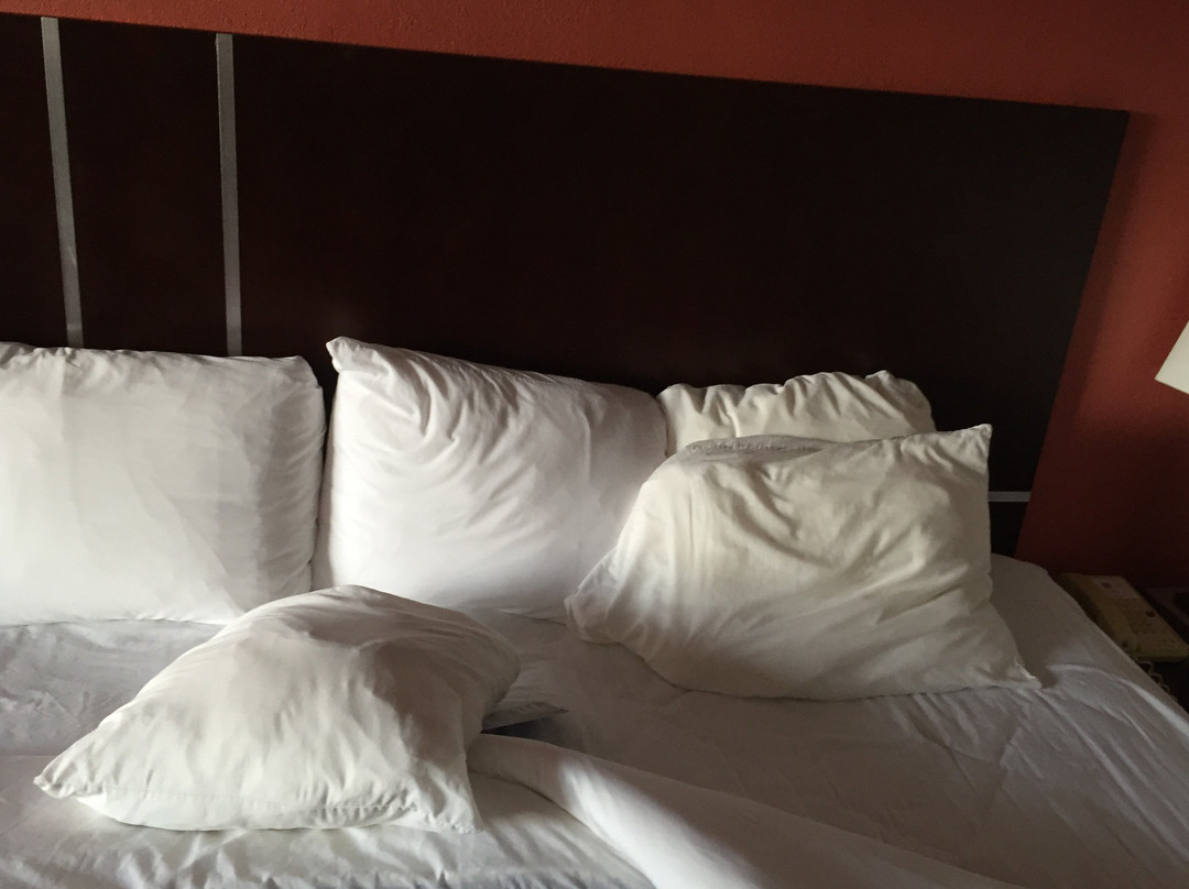 Comfort Inn & Suites主图