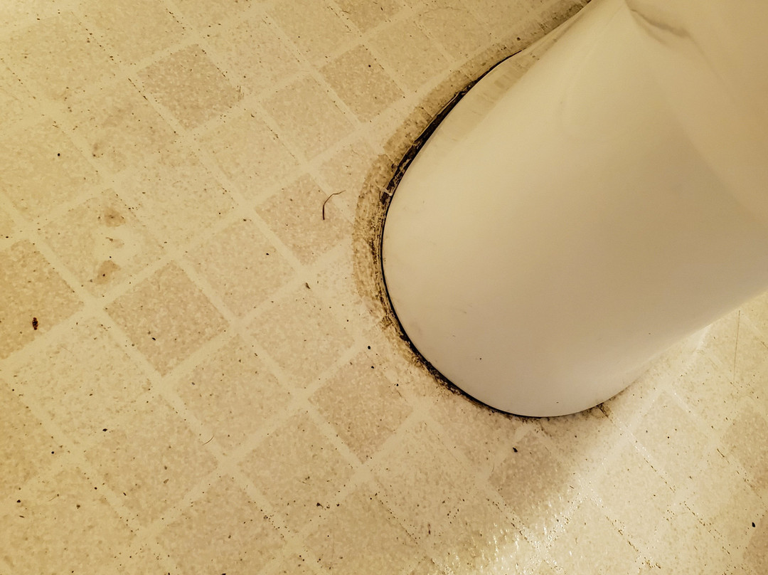 Golden Lion Motel主图