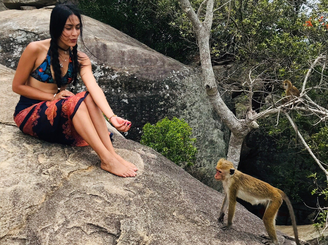 Naja Lanka Travels & Toures-尼甘布必去景点