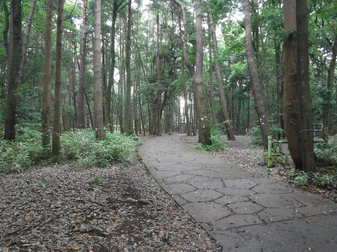 Teganooka Park-柏市必去景点