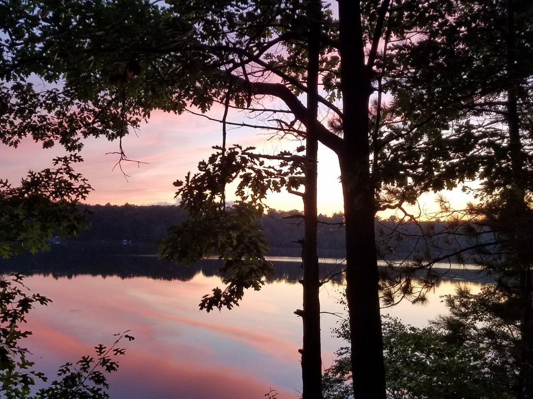 Arbor Vitae Motel主图