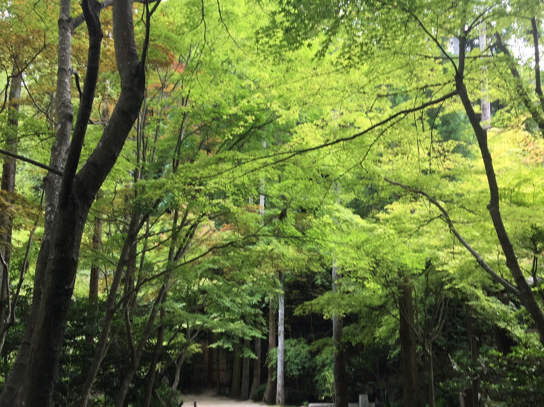 Shinsho-ji Temple景点图片