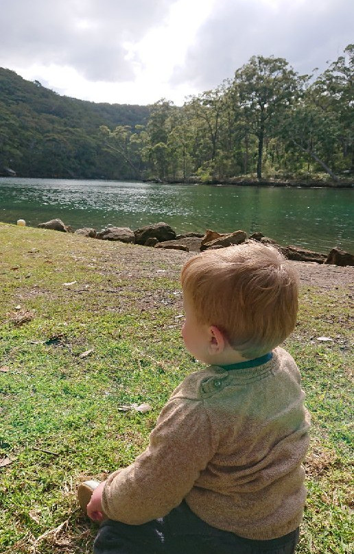 Royal National Park Visitor Centre-Royal National Park必去景点