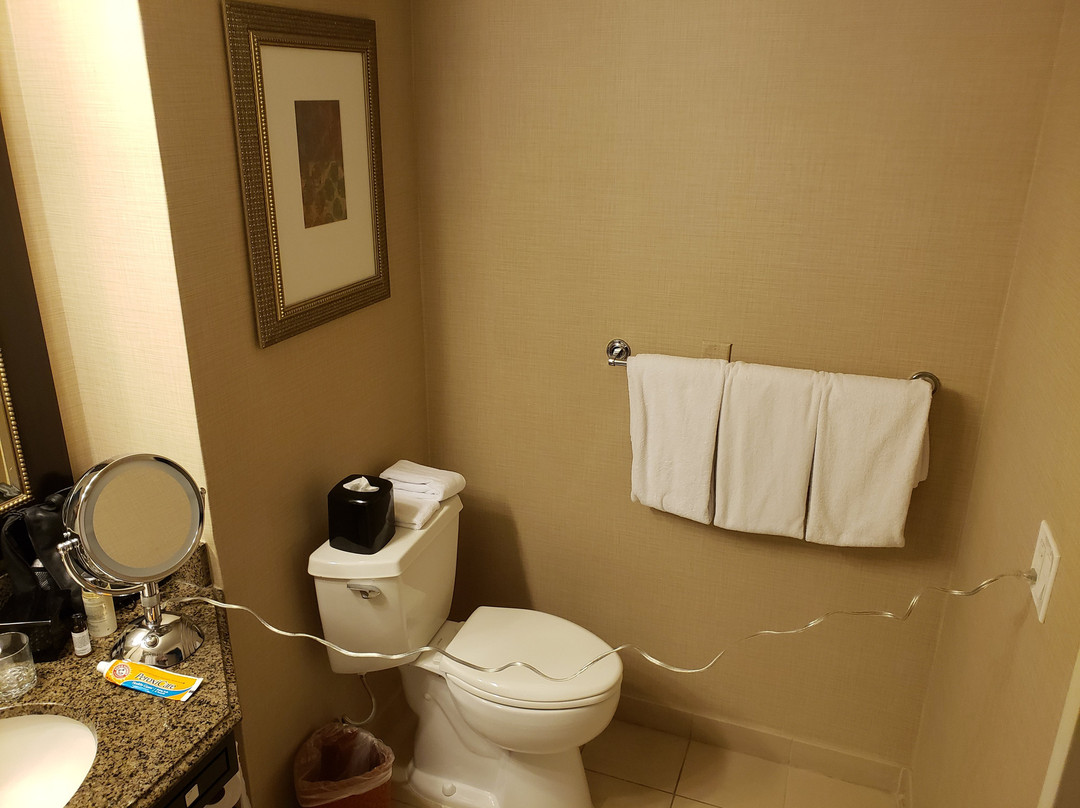 Hyatt Regency Reston主图