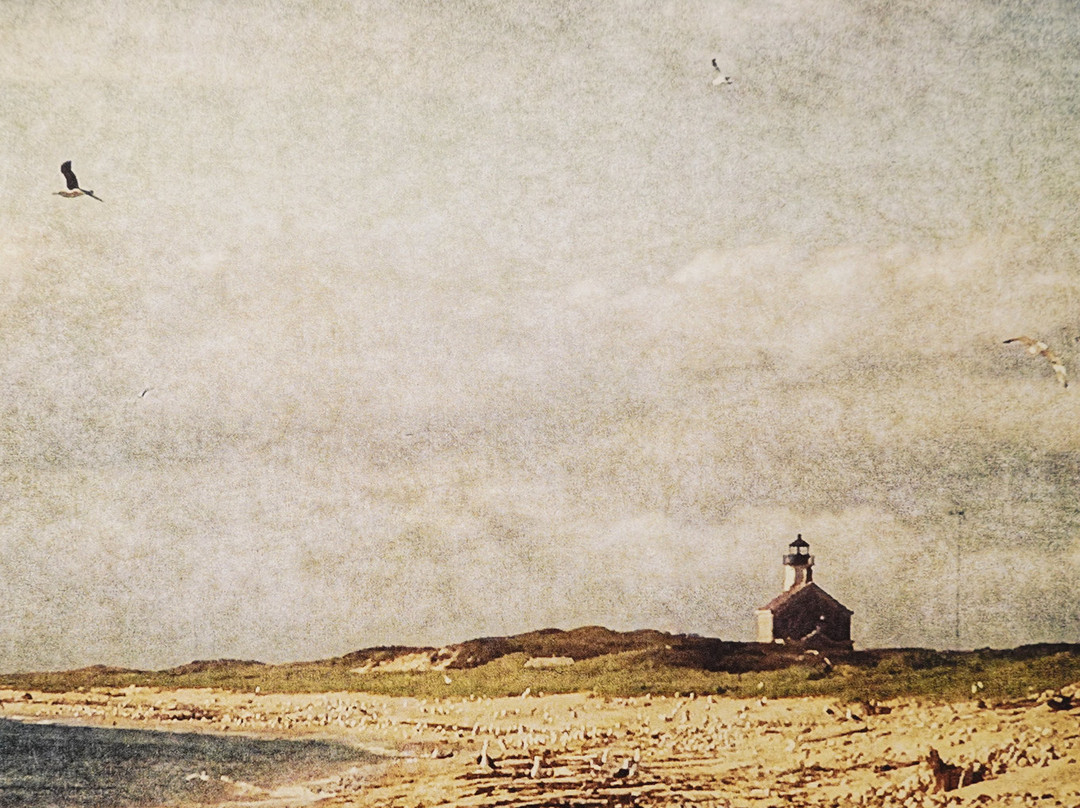 Spring Street Gallery-新肖勒姆必去景点