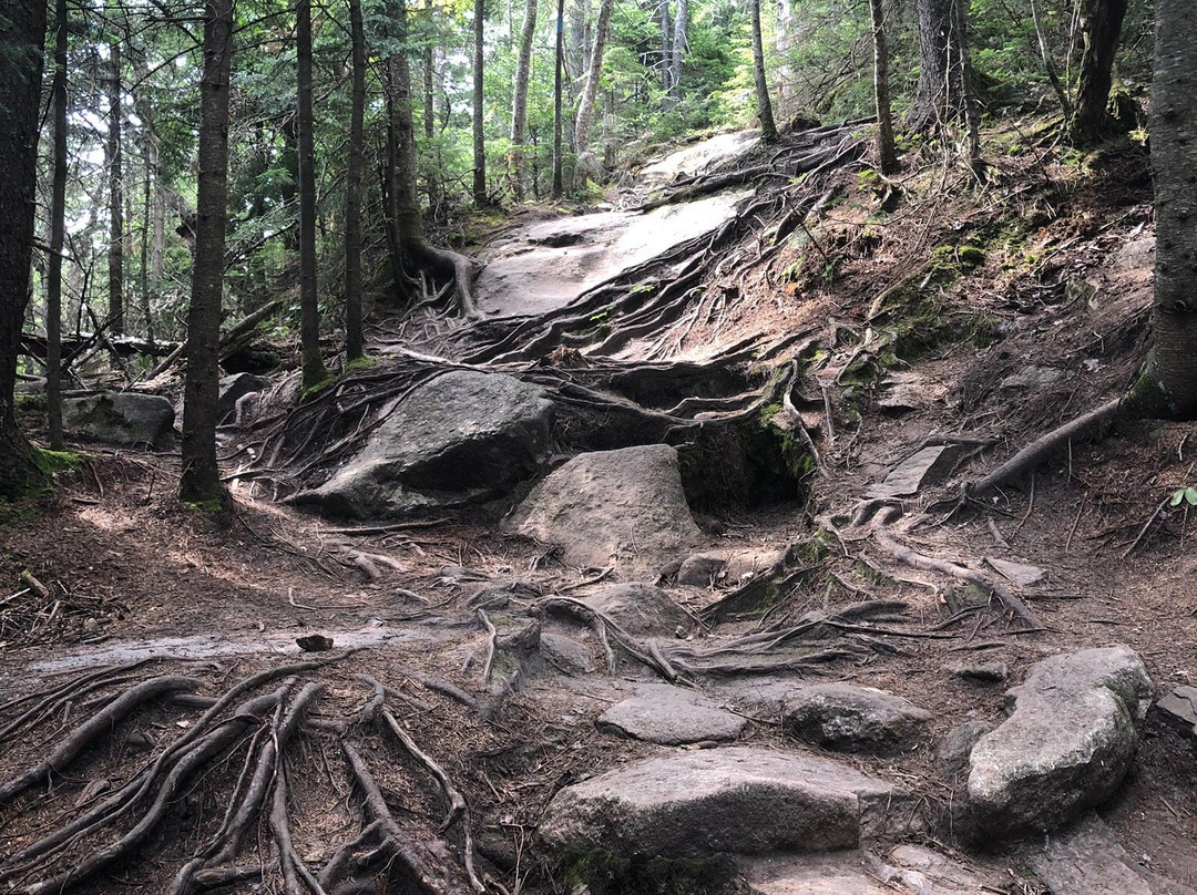 Mount Pisgah景点图片