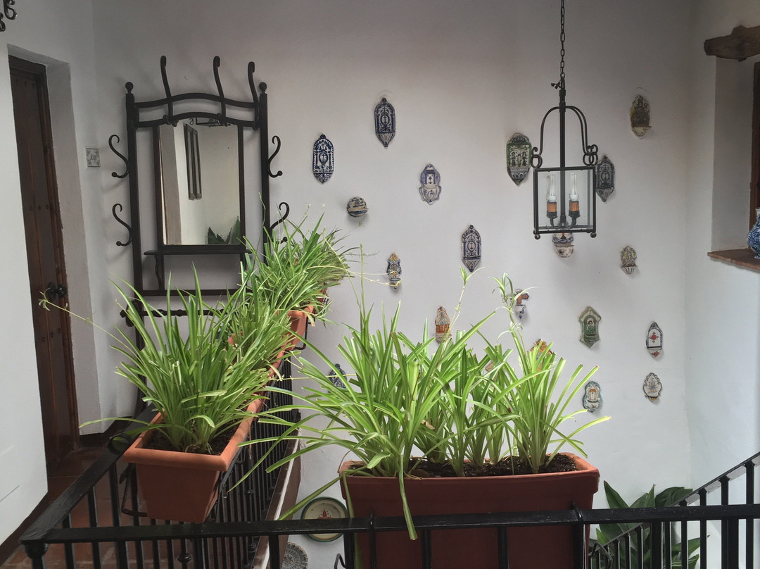 El Molino De Los Abuelos主图