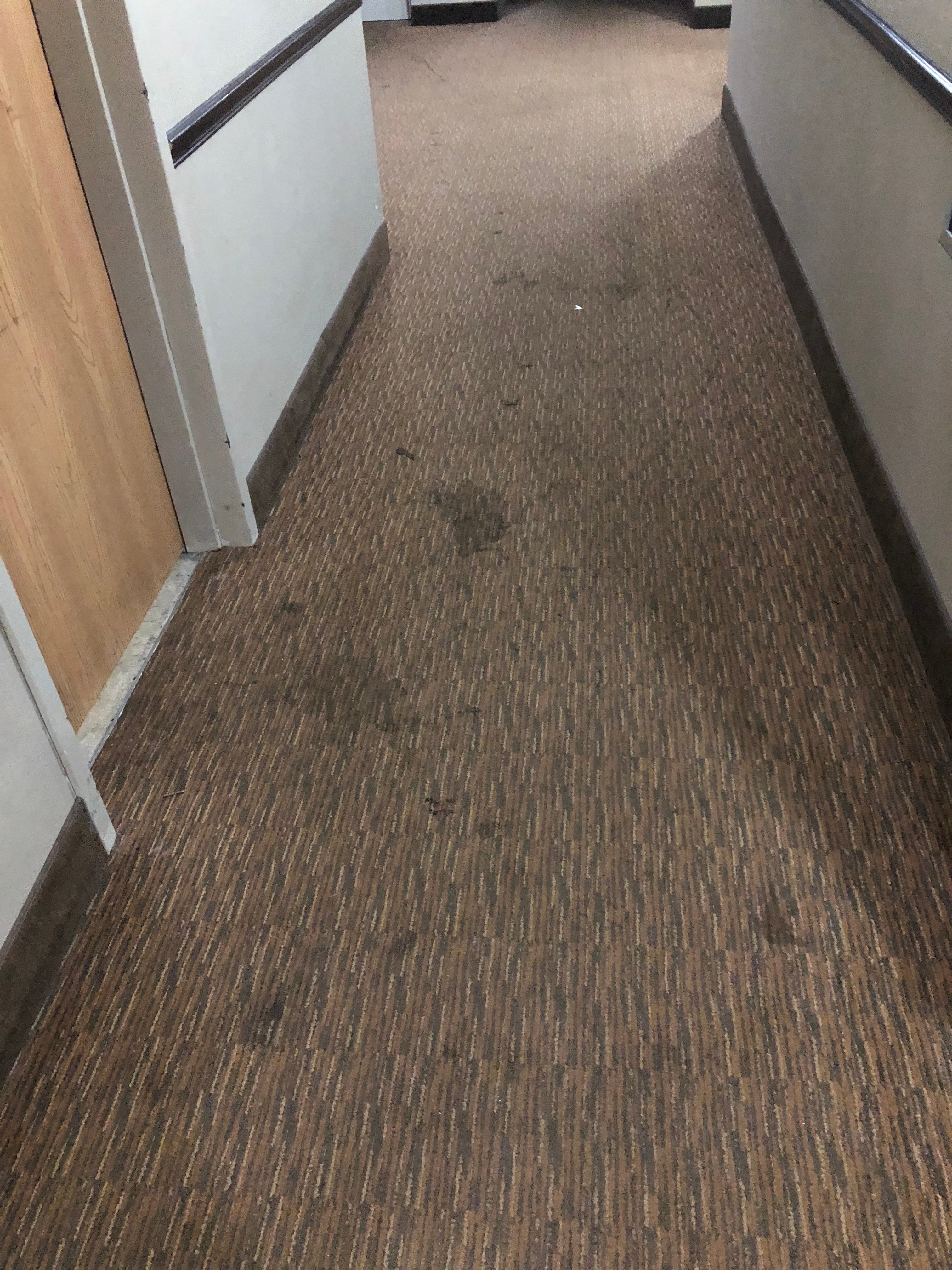 Sleep Inn & Suites Near I-90 And Ashtabula-portrait