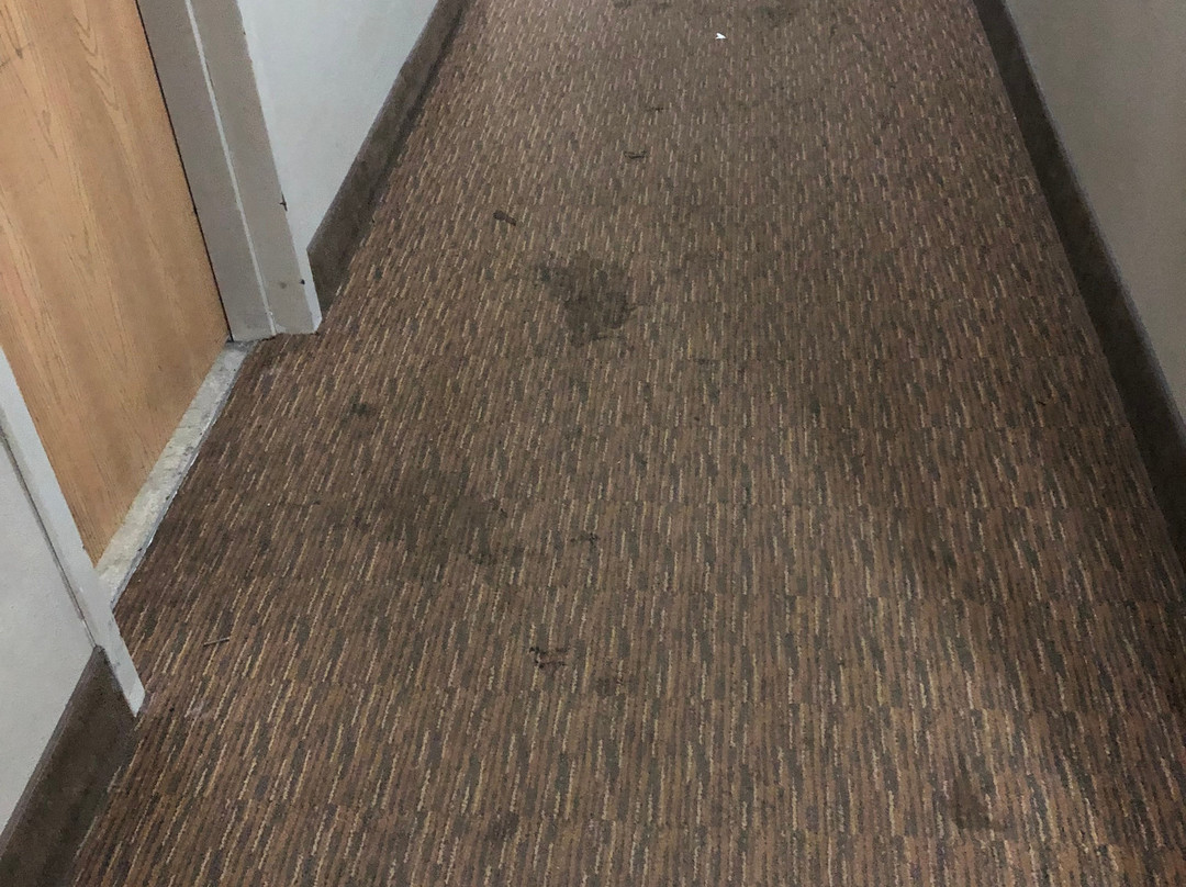 Sleep Inn & Suites Near I-90 And Ashtabula主图