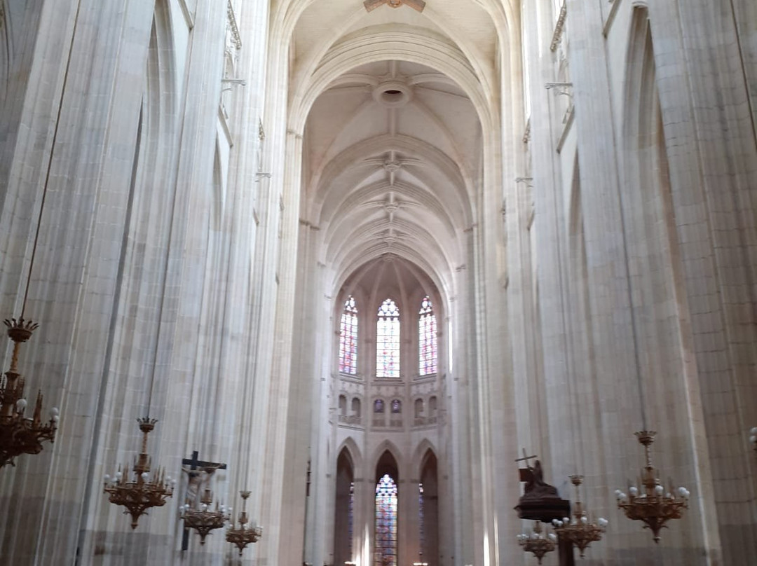 Cathédrale Saint-Pierre et Saint-Paul de Nantes景点图片
