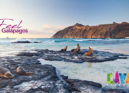 Live Ecuador Tours-基多必去景点