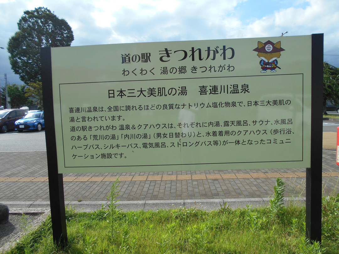 Kitsuregawa Michi-no-Eki-樱市必去景点