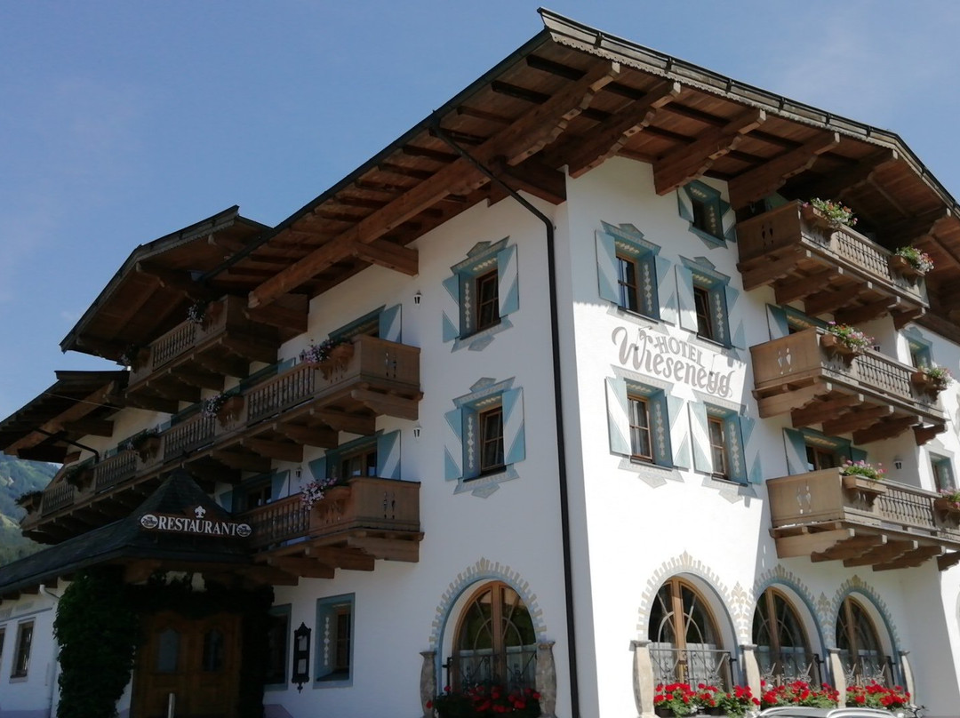 Hotel Wiesenegg主图