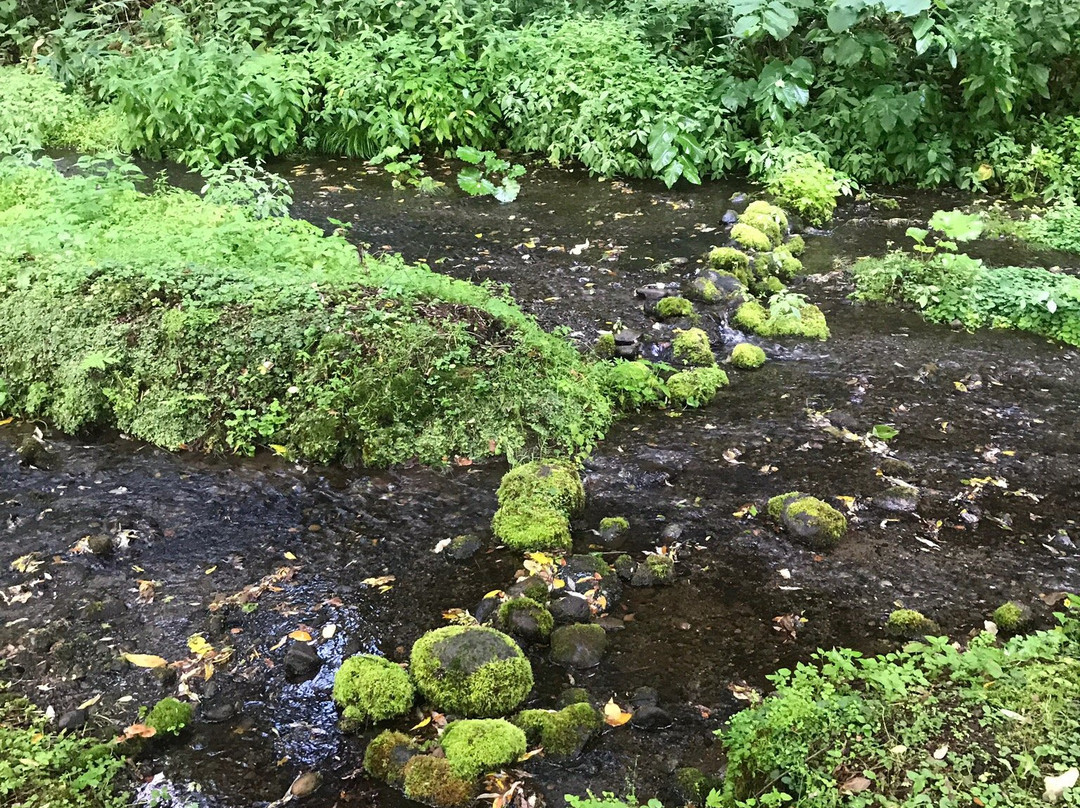 Taisetsu Asahidake Gensui-东川町必去景点