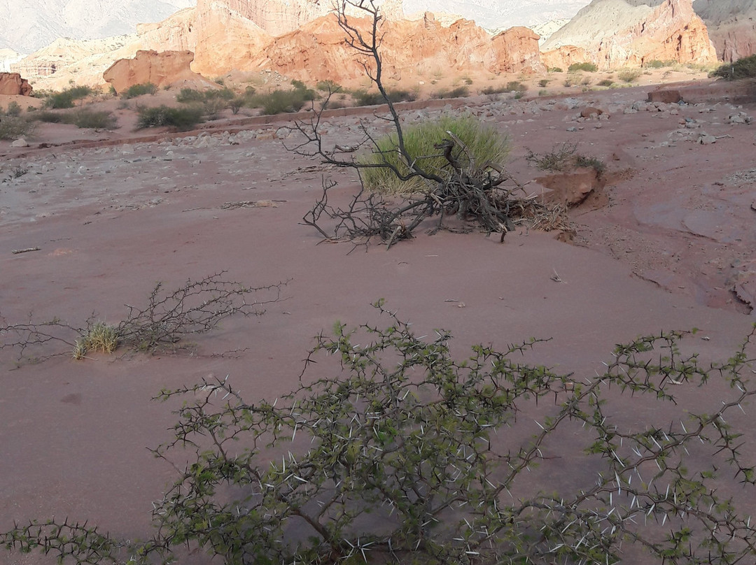 贡洽斯河峡谷-卡法亚特必去景点