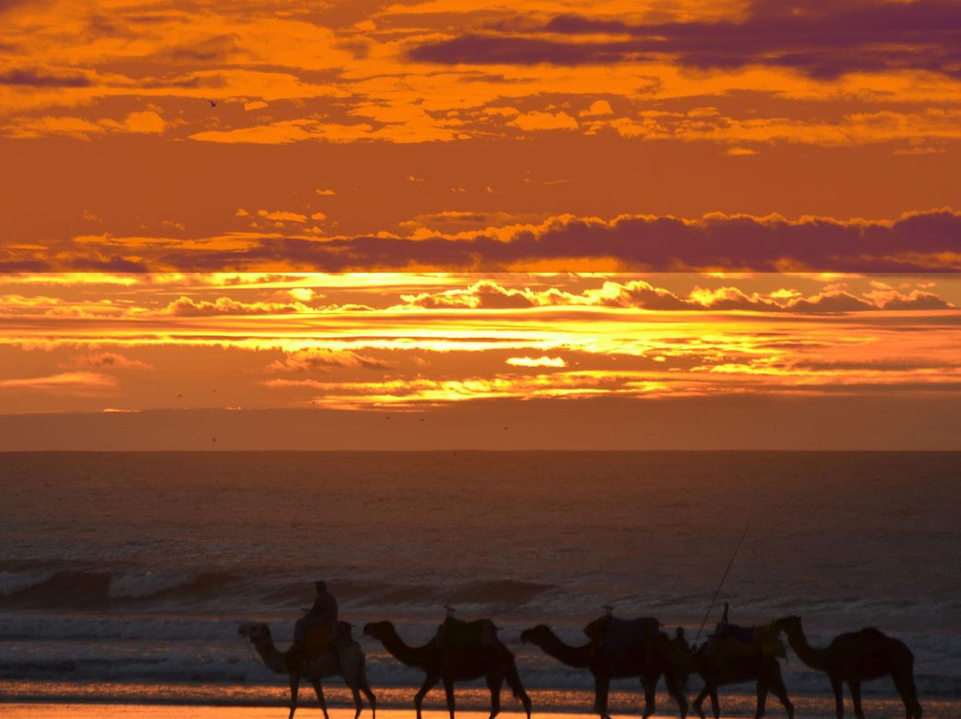 Diana Dromadaires-索维拉必去景点