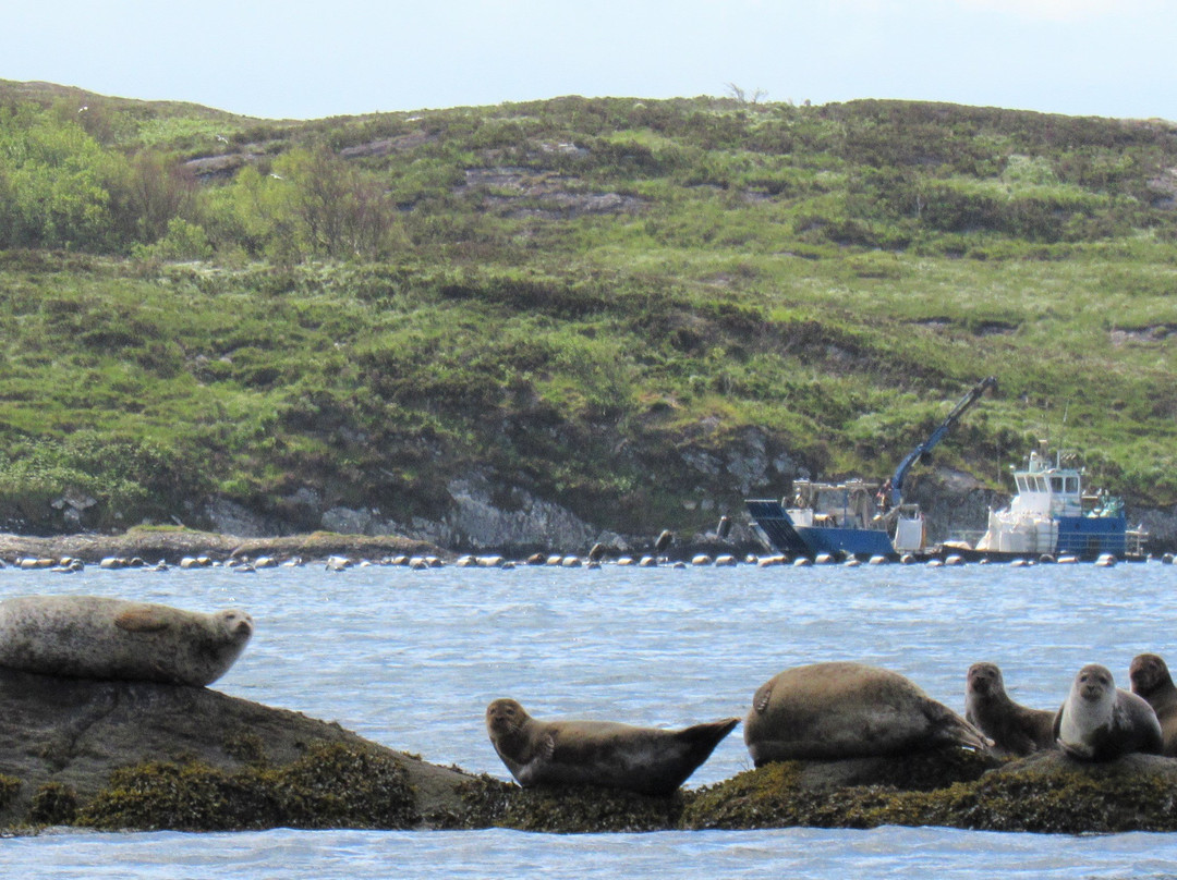Ireland's Wildlife景点图片