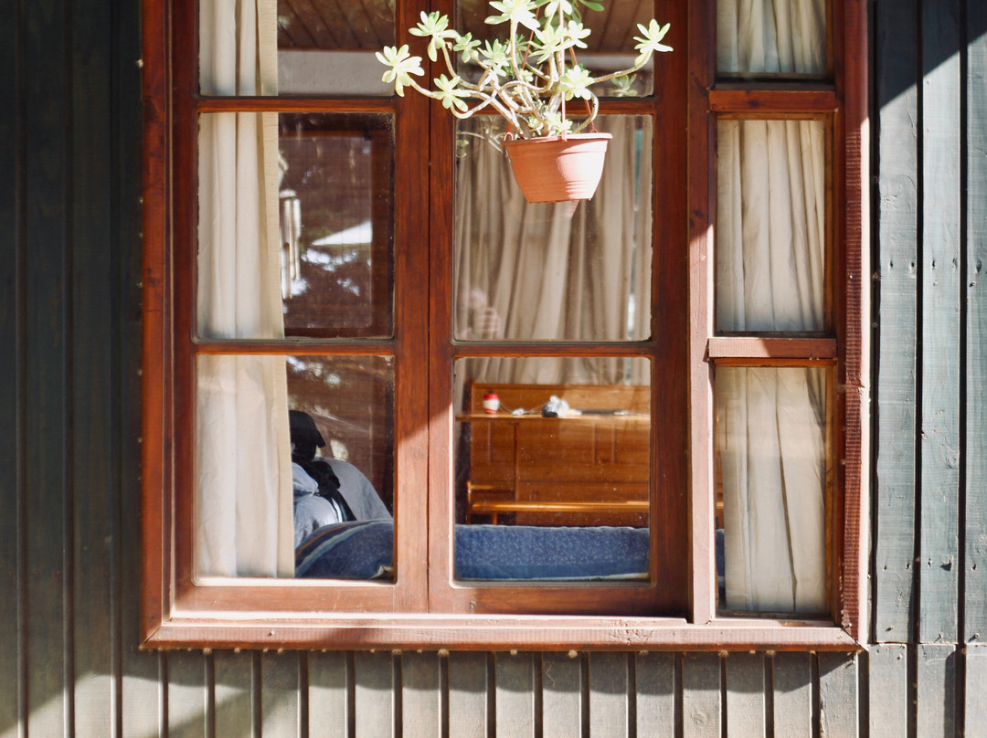 La Magia de Isla Negra Alojamiento Cabanas主图