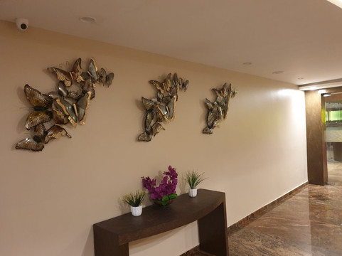 印多尔索纳什普莱奥特尔酒店主图