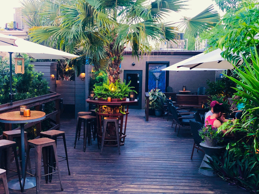 DrYnk Bar & Lounge-Wilton Manors必去景点