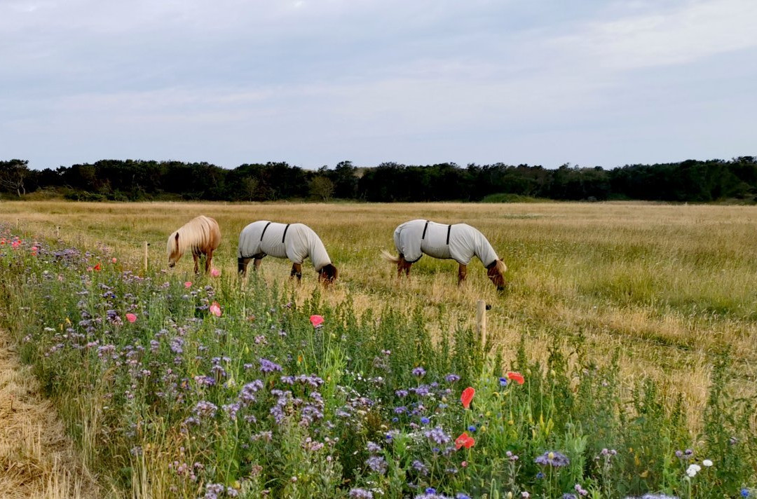 Hjorths & Kokholms 酒店主图