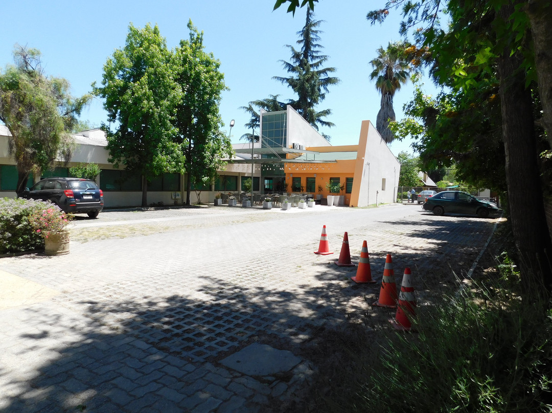 Mar Andino Hotel主图