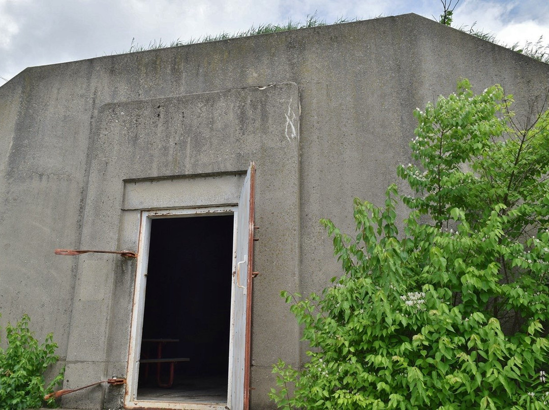 Midewin National Tallgrass Prairie景点图片