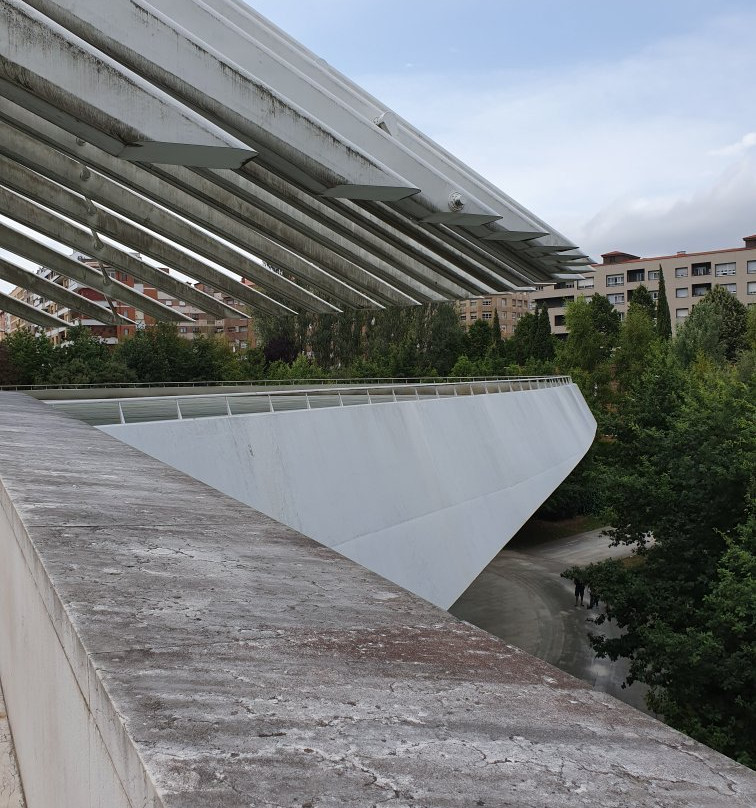 Palacio de Exposiciones y Congresos景点图片