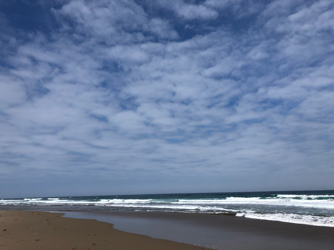 Sarugamori Sand Dunes景点图片
