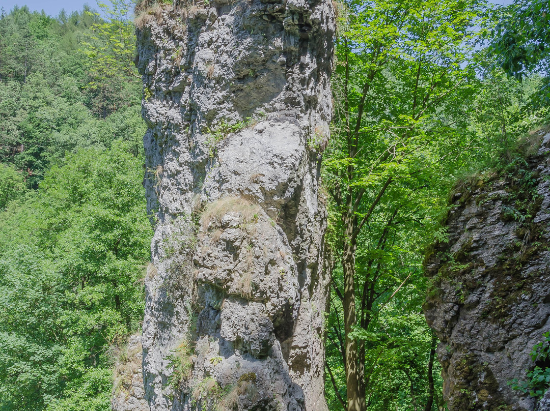 Mnikowska Valley景点图片
