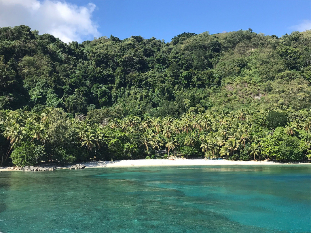 Turtle Reef Vanuatu-维拉港必去景点