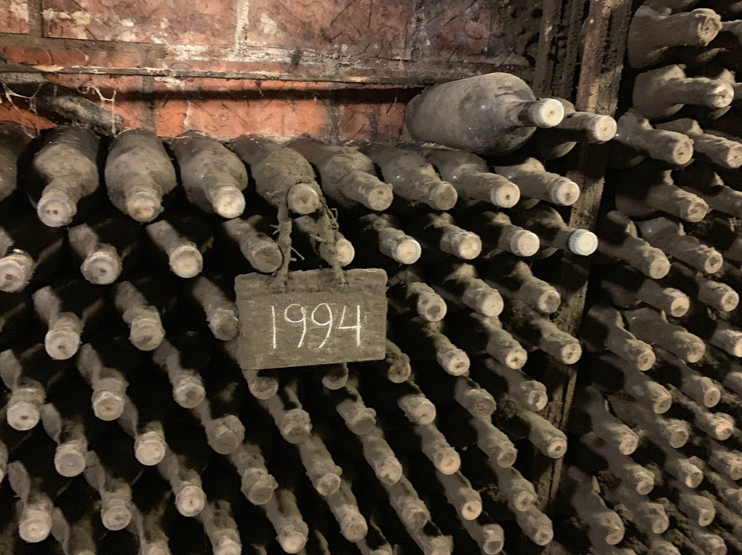 Bodegas Vinicola Real景点图片